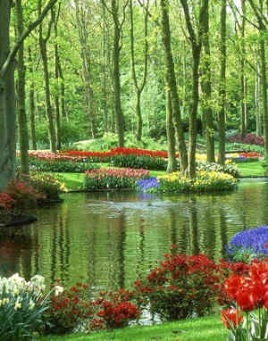 Bosque de flores belgica