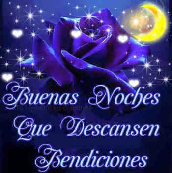 rosas hermosas con frases noches