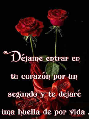 rosas rojas con frases